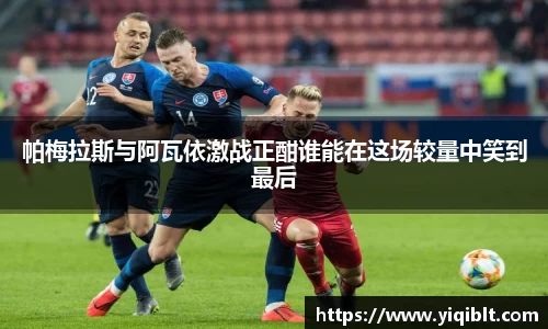 帕梅拉斯与阿瓦依激战正酣谁能在这场较量中笑到最后