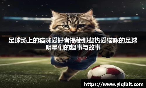 足球场上的猫咪爱好者揭秘那些热爱猫咪的足球明星们的趣事与故事
