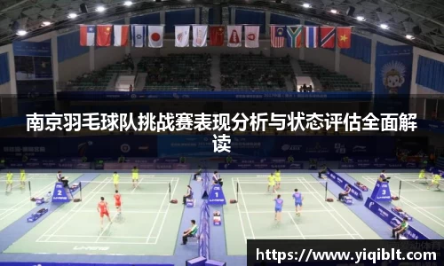 南京羽毛球队挑战赛表现分析与状态评估全面解读